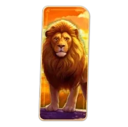 Lion
Safari